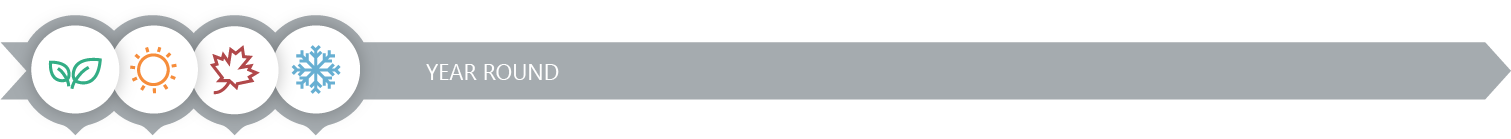 Image of season icons with text that reads. Year Round